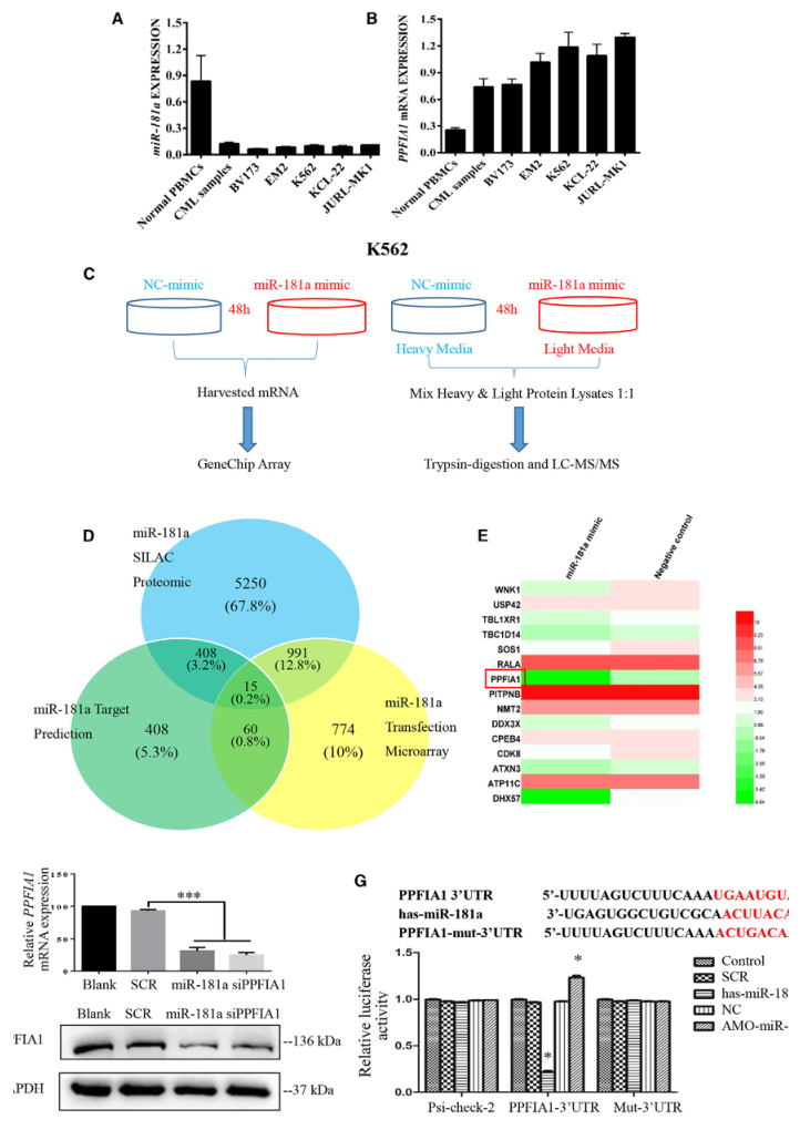SILAC實驗、Co-IP技術服務-客戶文獻-輝駿生物.png