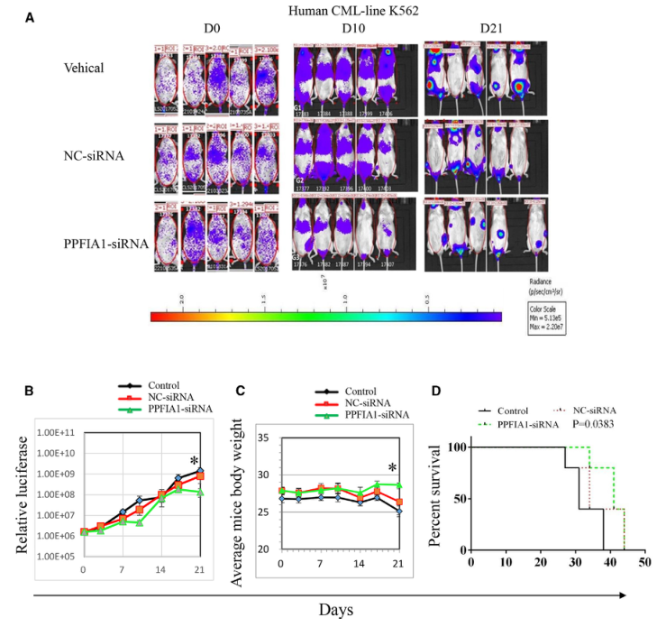 SILAC實驗、Co-IP技術服務-客戶文獻-輝駿生物.png