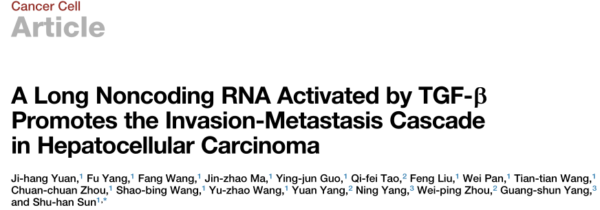 1637217584894059.png lncRNA-miRNA互作文獻(xiàn)圖.png