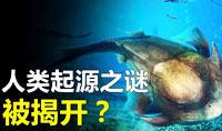 人類(lèi)進(jìn)化史：Nature證實(shí)“從魚(yú)到人”關(guān)鍵演化過(guò)程
